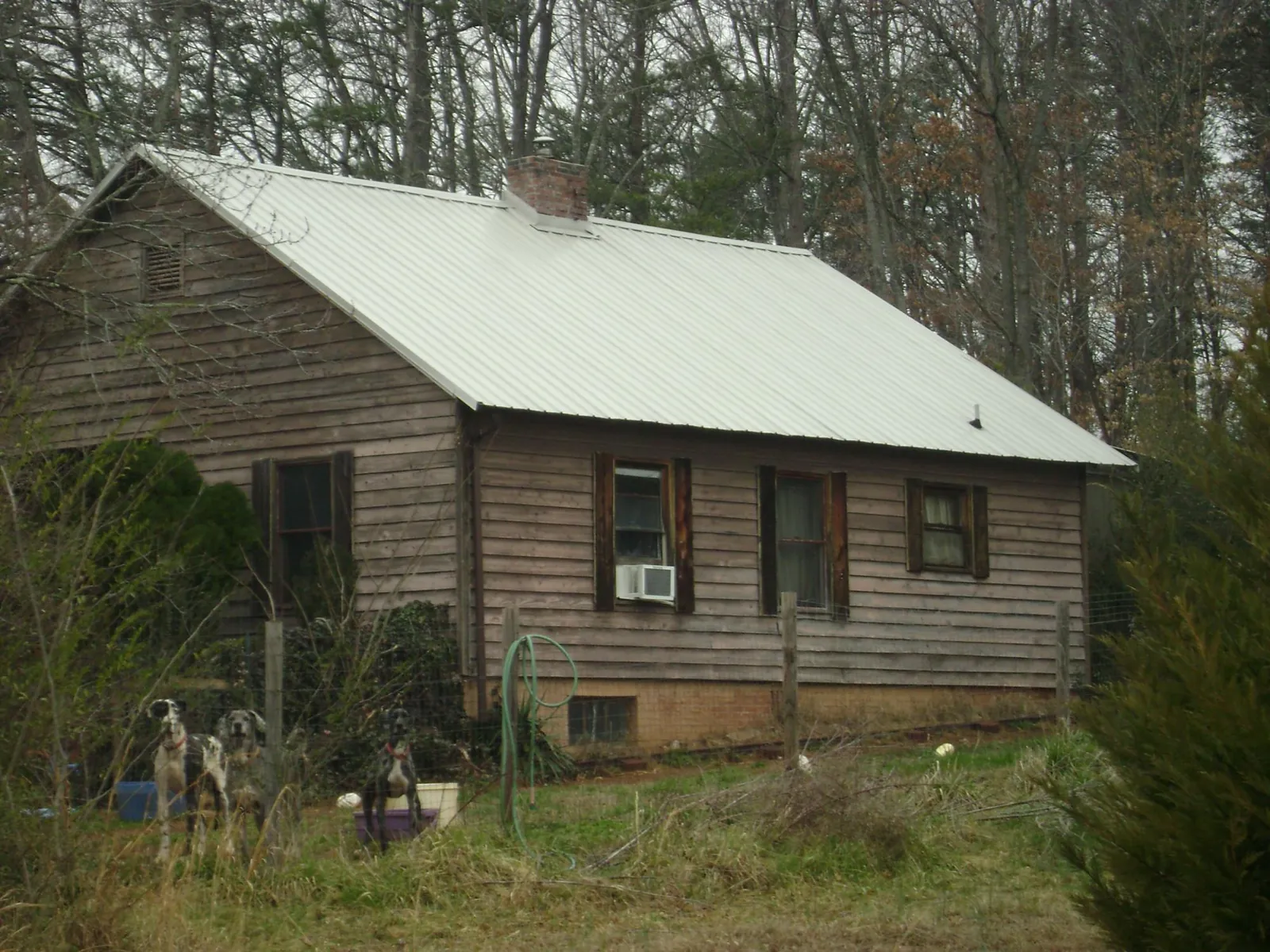 White metal roof on an old wood sided farmhouse, from a Asphalt Shingle Roof Repair job in Garysburg